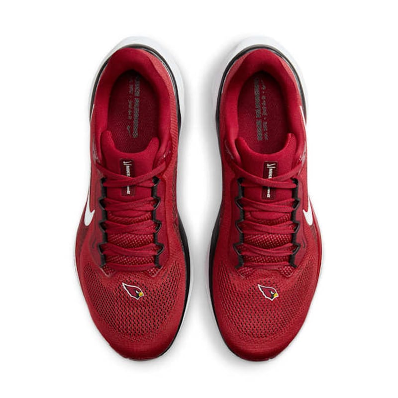 Nike Pegasus 41 x NFL FZ5077-600 04