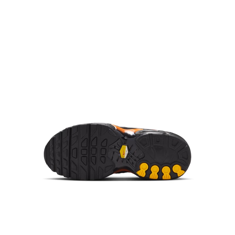 Nike Air Max Plus FZ0023-041 02