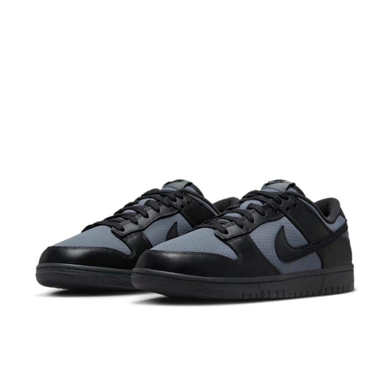 Nike Dunk Low Retro SE FZ3052-001 05