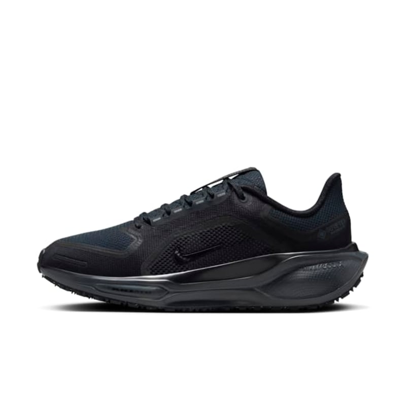 Nike Pegasus 41 GORE-TEX FQ1357-001 01
