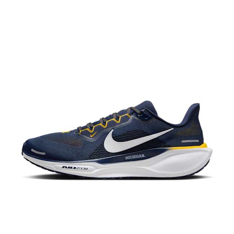 Nike Pegasus 41 FZ5128-400 01