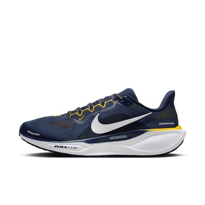 Nike Pegasus 41 FZ5128-400