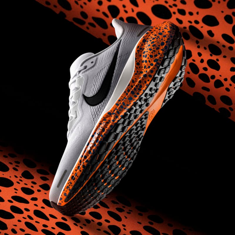 Nike Pegasus 41 FN7678-900 01
