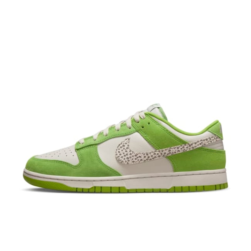 Nike Dunk Low DR0156-300 01