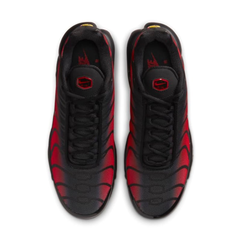 Nike Air Max Plus DZ4507-600 04