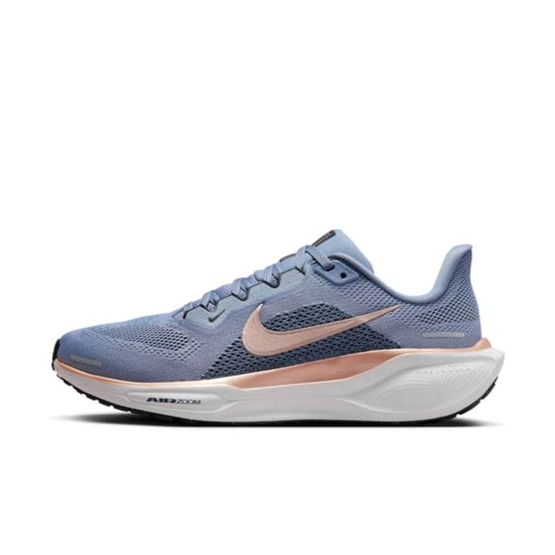 Nike Pegasus 41 FD2723-403 01