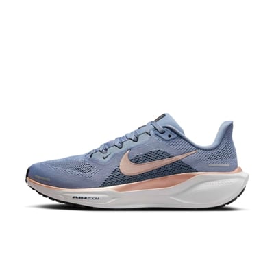 Nike Pegasus 41 FD2723-403