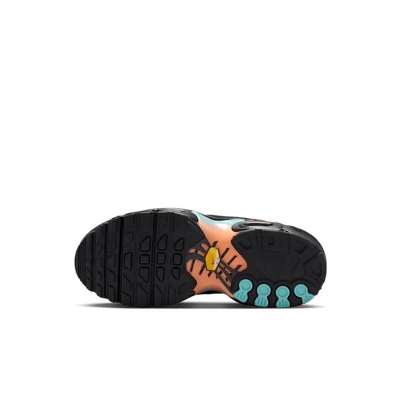 Nike Air Max Plus FZ0023-037 02