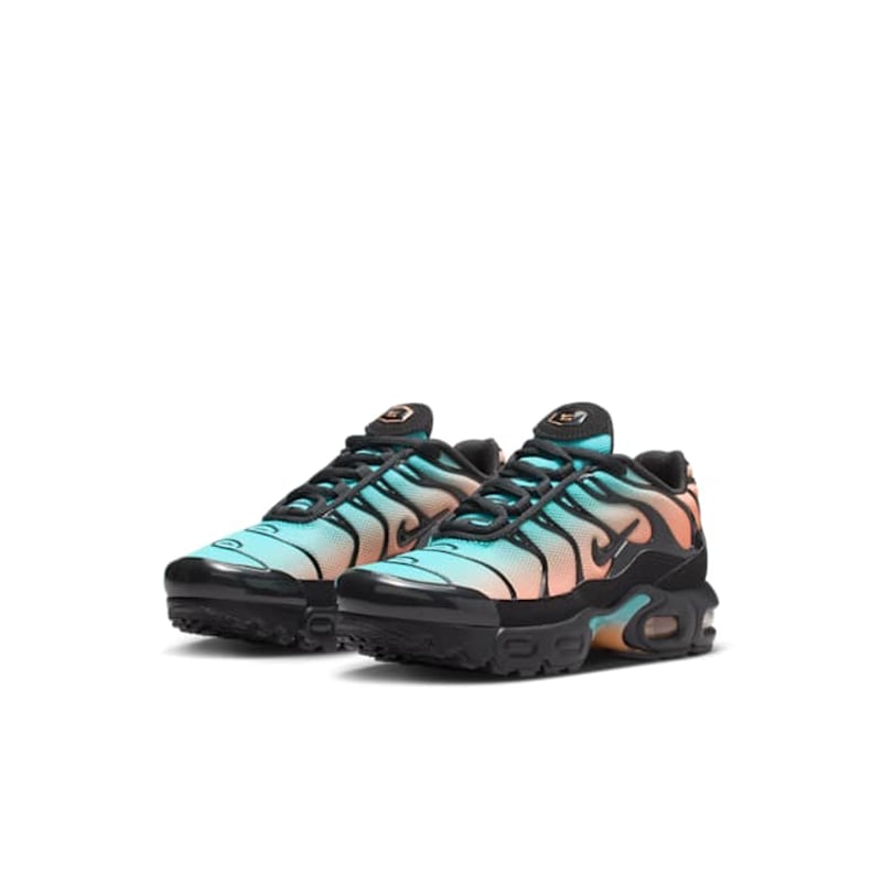 Nike Air Max Plus FZ0023-037 05