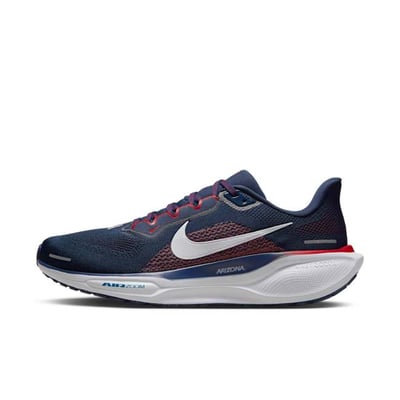 Nike Pegasus 41 FZ5104-400