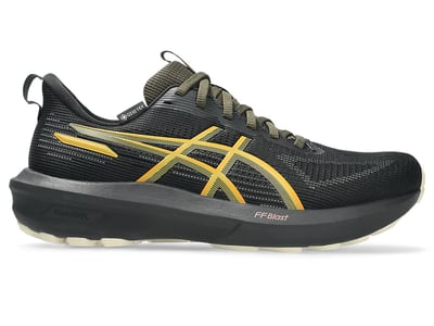 ASICS GT-1000 14 GORE-TEX 1012B857-001