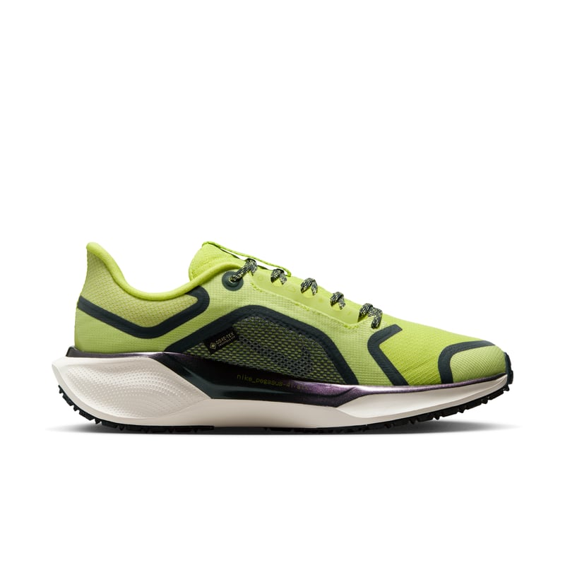 Nike Pegasus 41 GORE-TEX FQ1357-300 03
