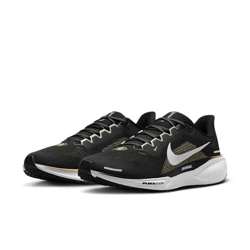Nike Pegasus 41 FZ5109-001 05