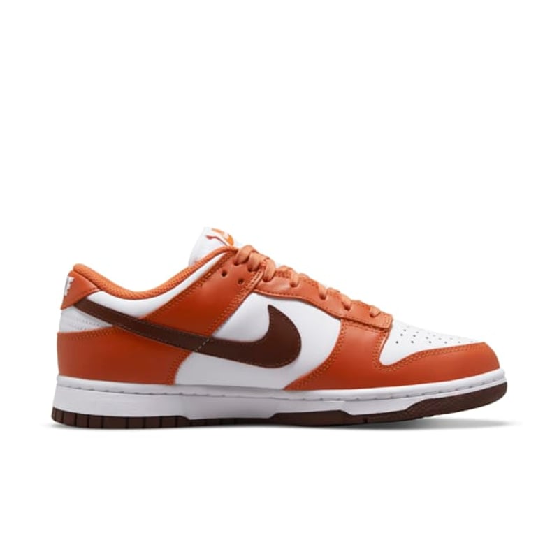 Nike Dunk Low DQ4697-800 03