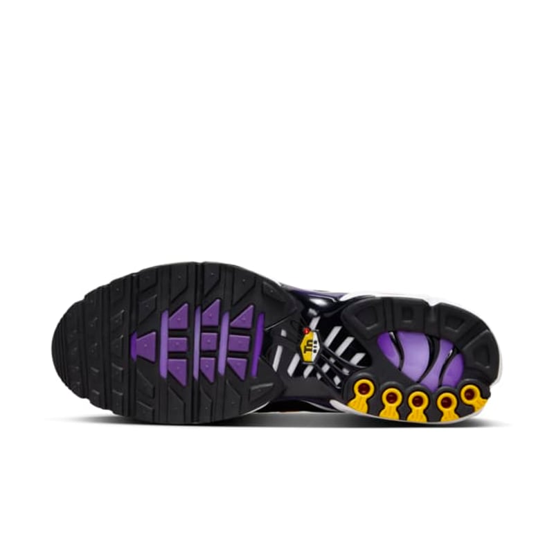 Nike Air Max Plus OG DX0755-500 02