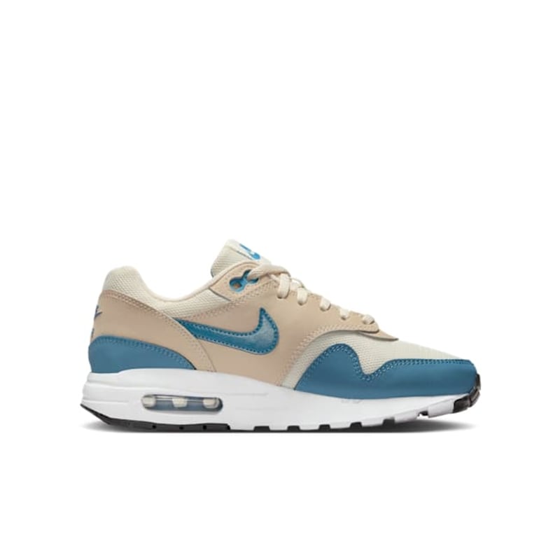 Nike Air Max 1 DZ3307-012 03