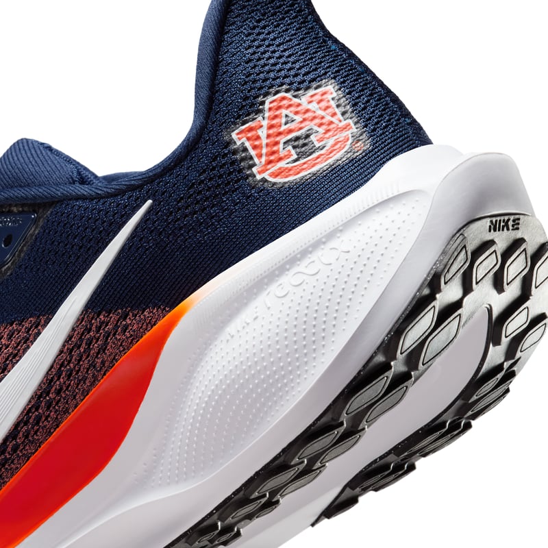 Nike Pegasus 41 IB3252-400 08