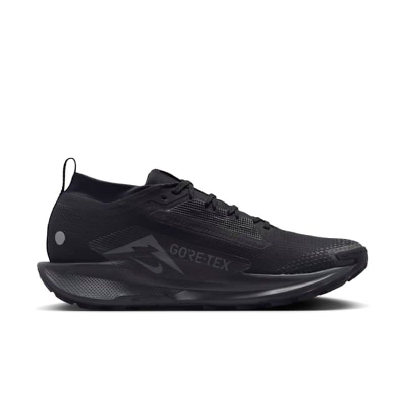 Nike Pegasus Trail 5 GORE-TEX FQ0908-002 03