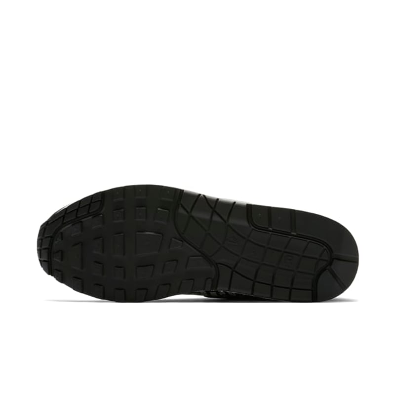 Nike Air Max 1 875844-009 02