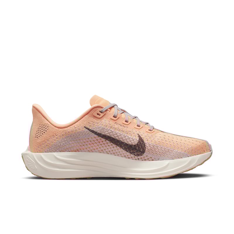 Nike Pegasus Plus FQ7261-702 03