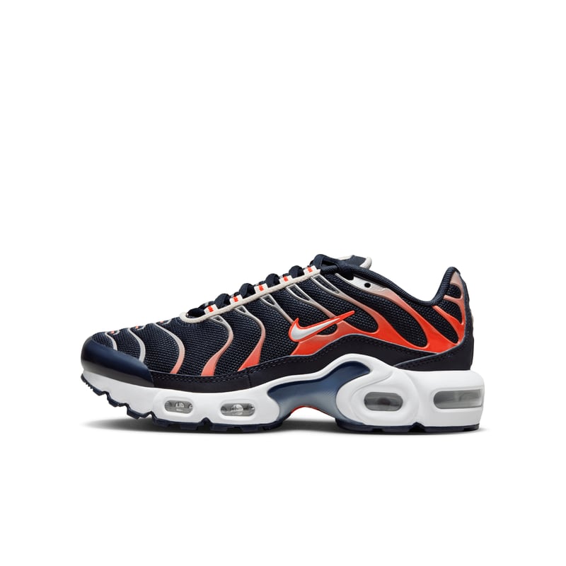 Nike Air Max Plus CD0609-408 01