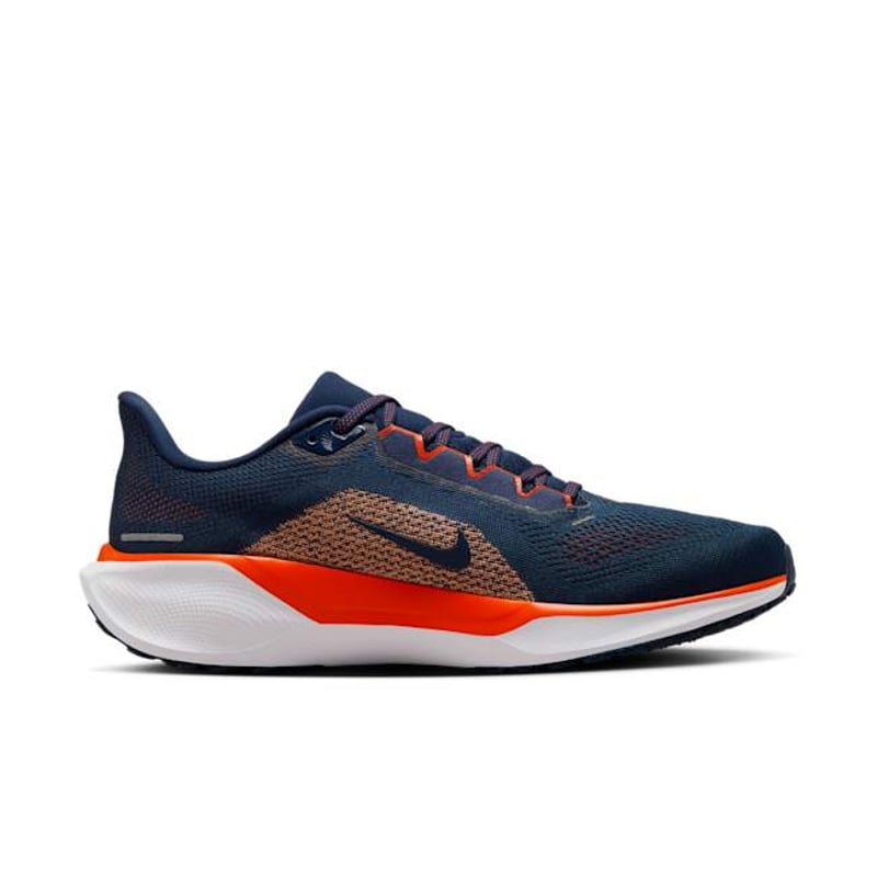 Nike Pegasus 41 x NFL FZ5073-400 03