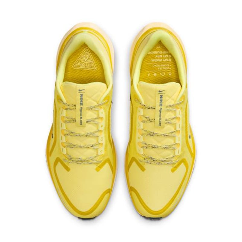 Nike Pegasus 41 GORE-TEX FQ1356-700 04