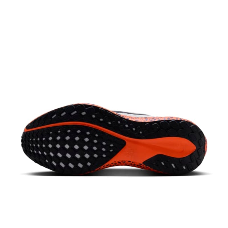 Nike Pegasus EasyOn FZ8753-900 02