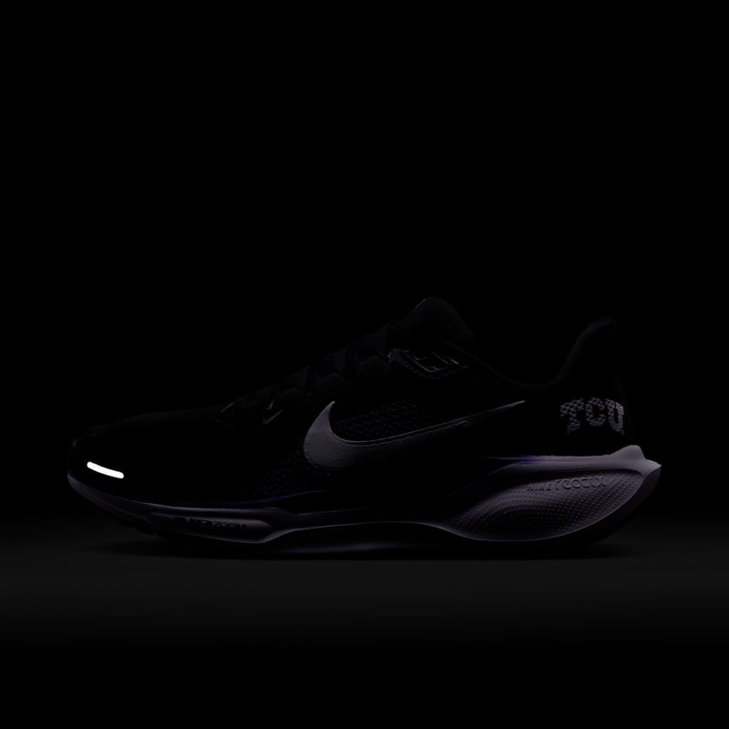 Nike Pegasus 41 FZ5143-002 09