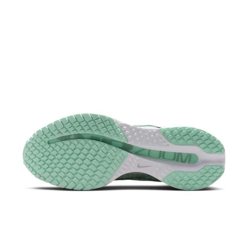 Nike Pegasus Premium HQ2593-103 02