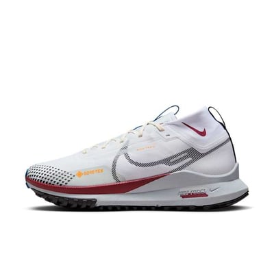 Nike Pegasus Trail 4 GORE-TEX DJ7926-102