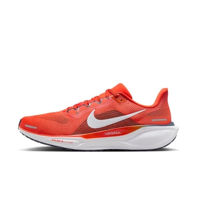 Nike Pegasus 41 FZ5151-800