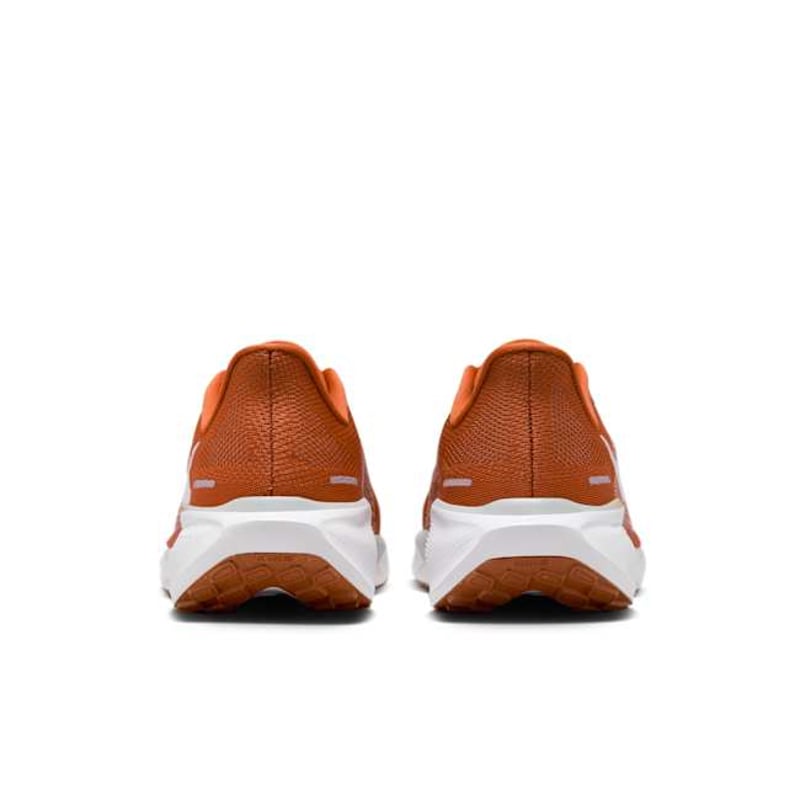 Nike Pegasus 41 FZ5145-800 06