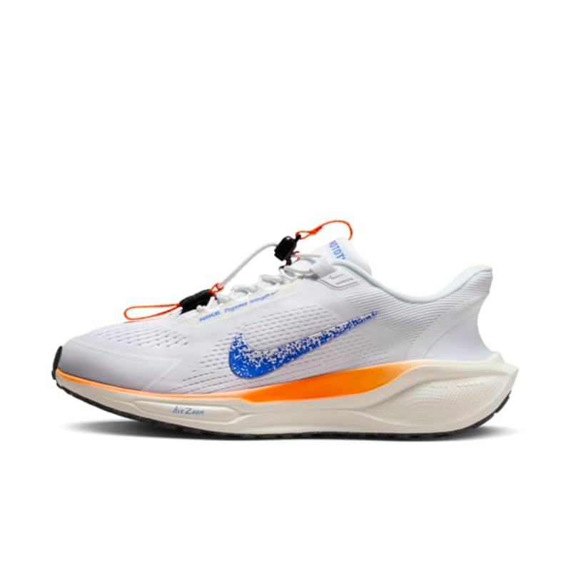 Nike Pegasus EasyOn HM0375-900 01