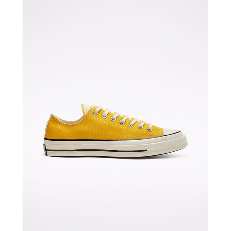 Converse Chuck 70 Low 166825C 01