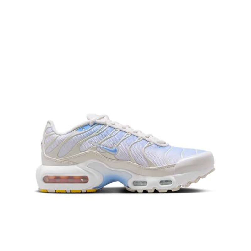 Nike Air Max Plus CD0609-411 03