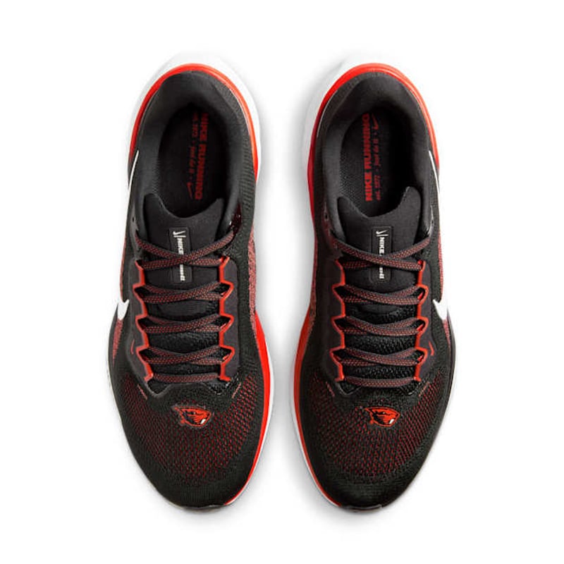 Nike Pegasus 41 FZ5139-001 04