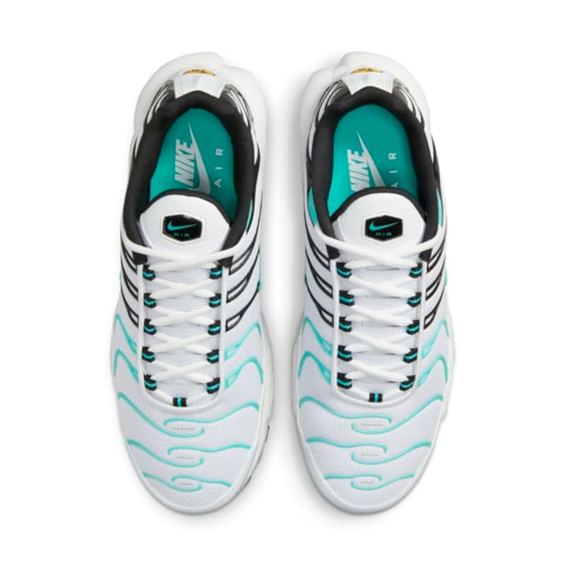 Nike Air Max Plus x Atmos 604133-148 04
