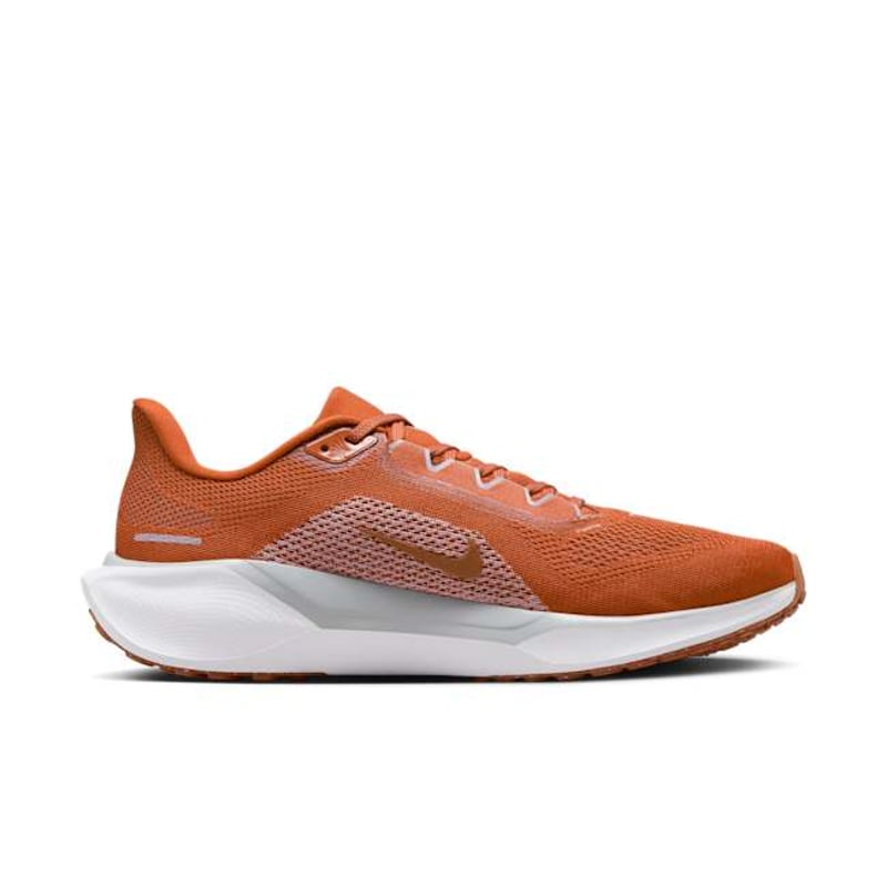 Nike Pegasus 41 FZ5145-800 03