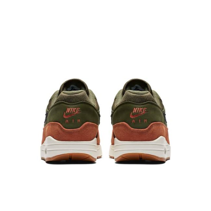 Nike Air Max 1 AH8145-301 06