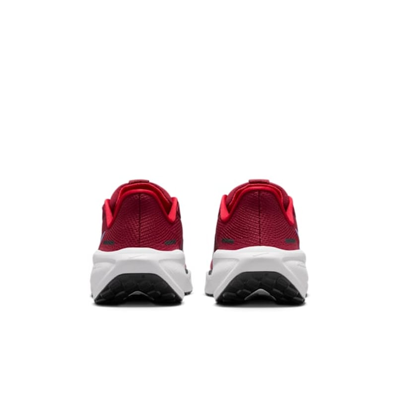 Nike Pegasus 41 FN5041-602 06