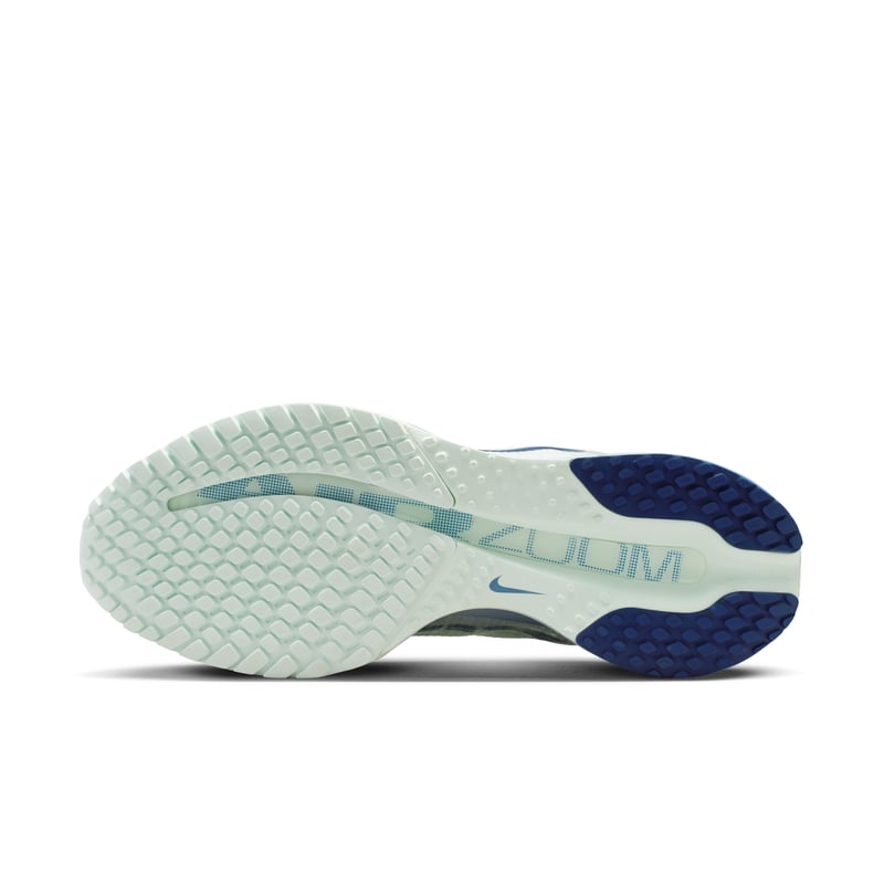 Nike Pegasus Premium HQ2593-301 02