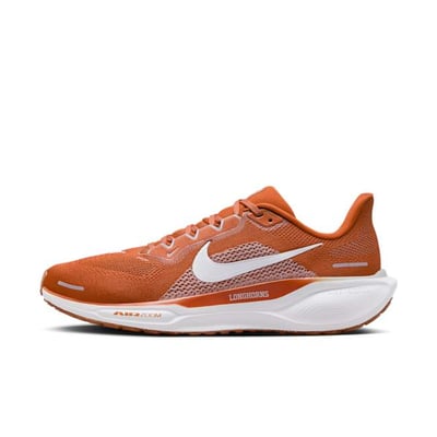Nike Pegasus 41 FZ5145-800