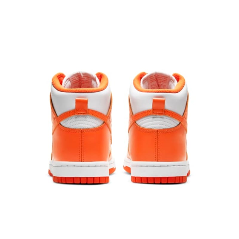 Nike Dunk High DD1869-100 06