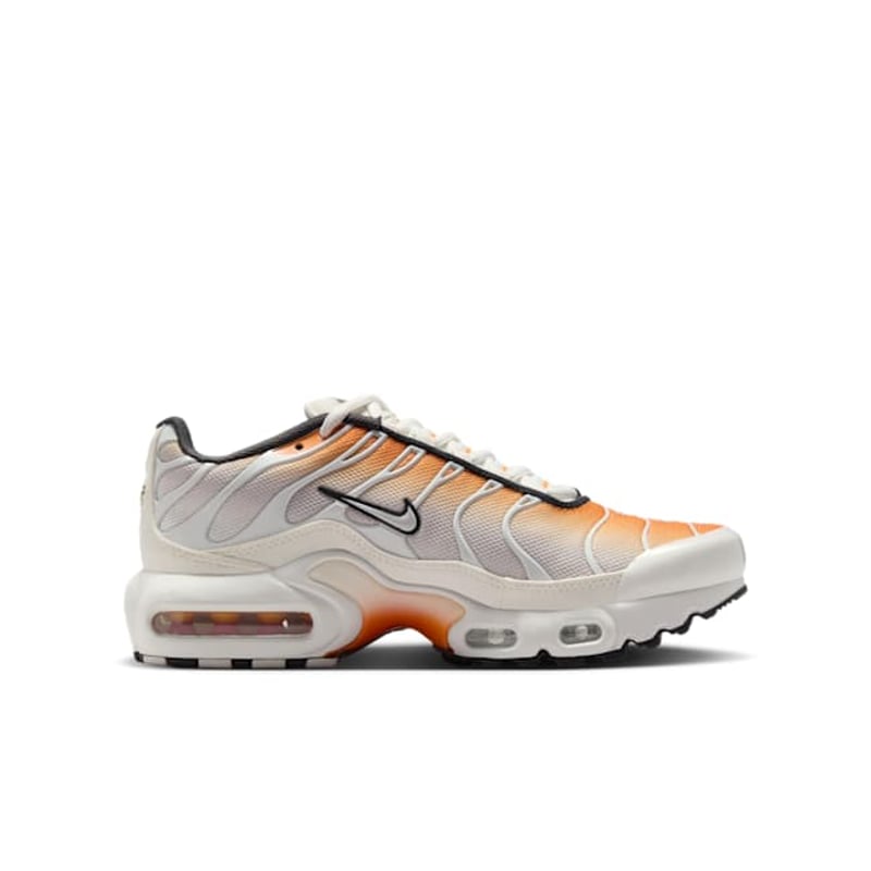 Nike Air Max Plus CD0609-800 03