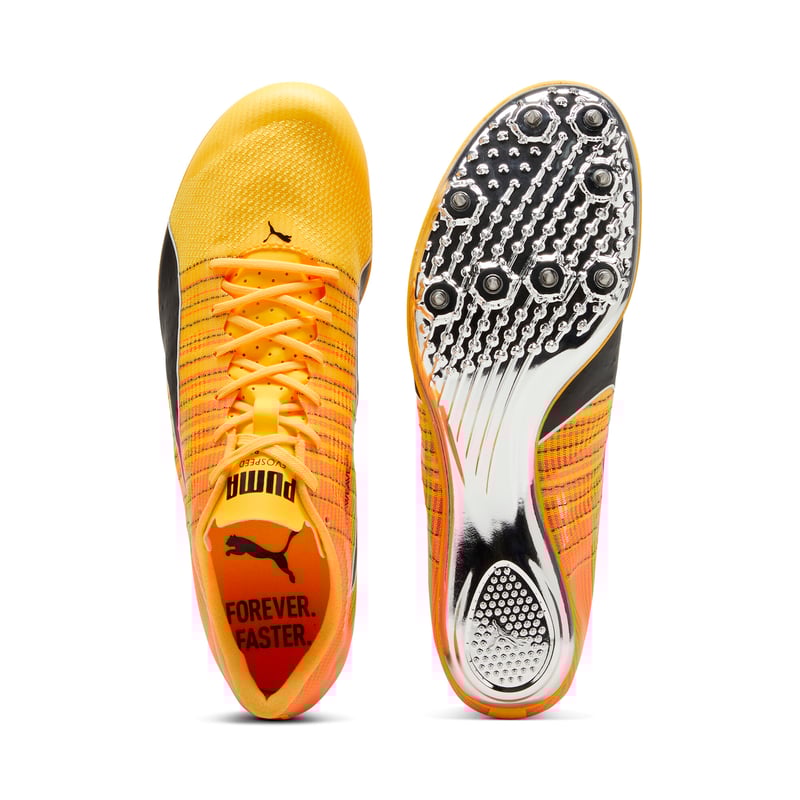 Puma evoSPEED Brush 6 380022-01 02