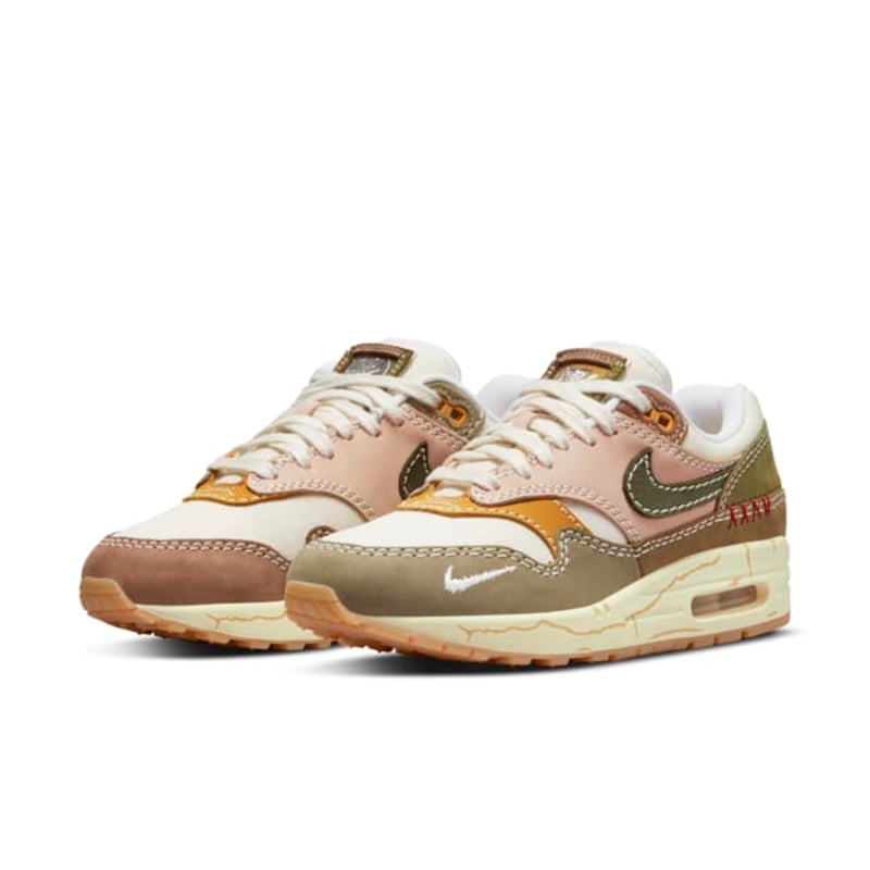 Nike Air Max 1 Premium DQ8656-133 05