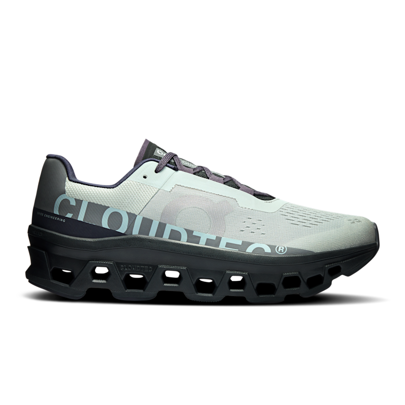 On Cloudmonster 61.97656 01