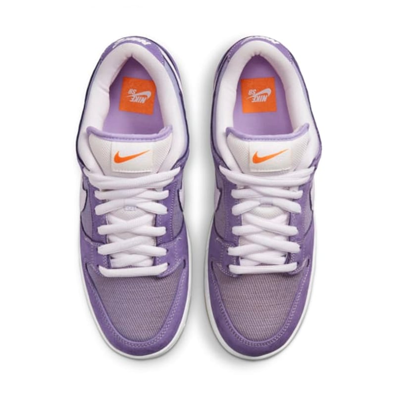 Nike SB Dunk Low DA9658-500 04