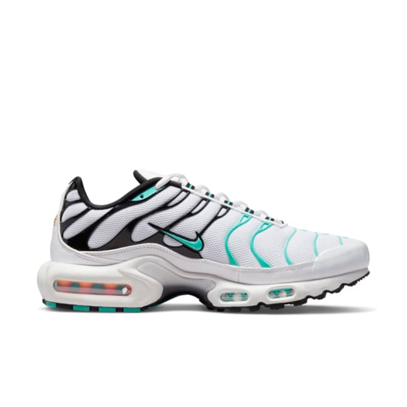 Nike Air Max Plus x Atmos 604133-148 03